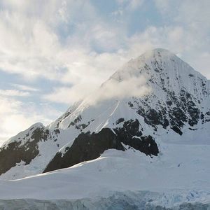 Meet your Posher, Randall